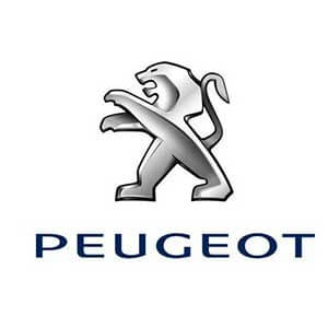 Peugeot Nouveau fournisseur de kits de chaîne de distribution Changsha TimeK Industrial Co., Ltd.